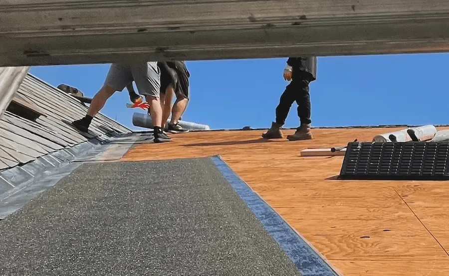 Premium interior quality — building envelope integrity project